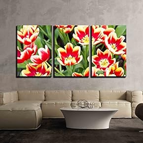 3 Piece Canvas Wall Art - Tulip - Modern Home Art Stretched and Framed Ready to Hang - 16"x24"x3 Panels