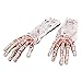 Halloween Zombie Hands Arms, Skeleton Stakes Lawn Stakes, Bloodied Scary Zombie Fingers Graveyard Prop Decoration Halloween Décor for Outdoor/Yard/Patio, White&Red