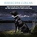 HISEASUN 2019 New Dog Training Collar Long Range 1500 Ft IPX7 Waterproof and Rechargeable Remote Reflective Collar with Beep,Vibration,Shock for Small,Medium,Large Dogsthumb 4