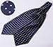 HISDERN Men's Ascot Polka Dot Jacquard Woven Gift Cravat Tie and Pocket Square Set