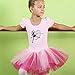 BAOHULU Girls Leotards Ballet Dance Skirted Tutu Dress Short Sleeve Jewels Dancewear