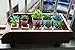 Myartte Home Decor Artificial Shrubs-Set of 4 Different Artificial Succulent Plant for Home Decoration Office Decoration (4A Ceramic Pot)