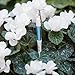 IPPINKA Sustee Aquameter, White, Small, Set of 2 - Soil Moisture Meter for Potted Plants - Plant Water Sensor (Refillable Style)