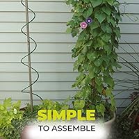 Bio Green Productos de Cultivo zarcillos, Negro: Amazon.es: Jardín