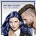 Head and Shoulders Dry Scalp Care with Almond Oil 2-in-1 Anti-Dandruff Shampoo + Conditioner 32.1 fl oz