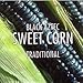 Organic rare black Aztec corn seeds 25+ count