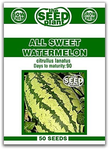 Amazon Com All Sweet Watermelon Seeds 50 Seeds Non Gmo Garden Outdoor