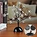 LIGHTSHARE 12Inch 20LED Cherry Blossom Bonsai Light,Warm Light,Battery Powered for Home Decoration, Night Light