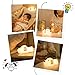 Cute Puppy Dog Nursery Night Light Lamp for Baby Toddlers Kids Children Bedroom Decorations | Soft Silicone Body with Touch Sensor Dual Colors Switch, Timer & Dimmer Function, USB Rechargeable