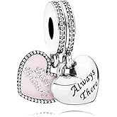 Lkwrideiny Best Friend Dangle Charm Charm 925 Sterling Silver Pendant,Jewelry Beads Gifts for Women Bracelet&Necklace