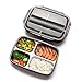 Xixihaha 4 Compartment Warm Lunch Bento Box Stainless Steel Portable Picnic Eco Office School Food Storage Bento Lunch Box Adult Leakproof Bento Box Snack Packing-Dishwasher Safe