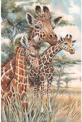 Diy Oil Painting By Numbers,Three Giraffe Art PBN Kit for Adults Girls Kids Christmas 16X20Inch [Wooden Frame]