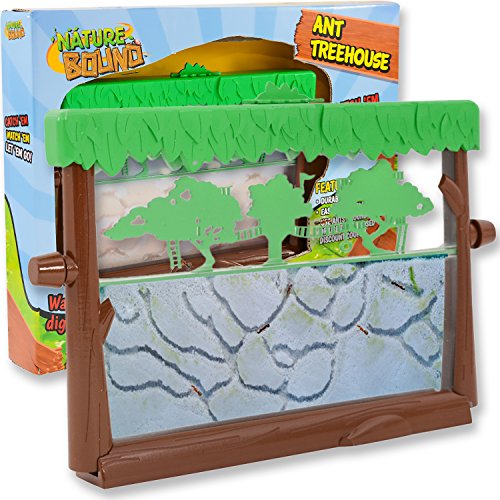 Nature Bound Ant Habitat Kit