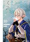 転生してハイエルフになりましたが、スローライフは120年で飽きました -Highelf with a long life- 第10巻