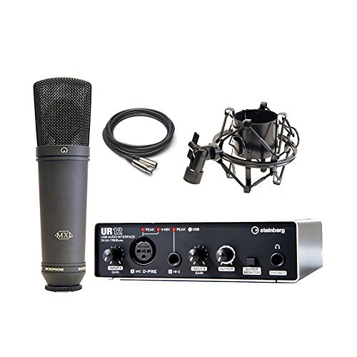 Steinberg UR12 USB Audio Interface And Shock Mount, Microphone W
