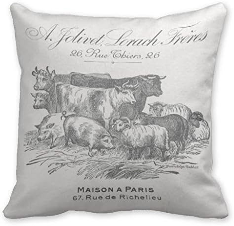 Nial Neil Pillow Cushion Cover Barnyard Cushion Pillow