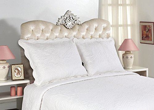 ALL FOR YOU 2-Piece Embroidered Quilted Pillow shams-standard size (White, off white)