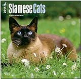 Siamese Cats 2015 Square 12x12 (Multilingual Edition)