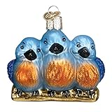 Old World Christmas Ornaments: Feathered Friends Glass Blown Ornaments for Christmas Tree