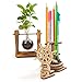 UGEARS Mechanical Wooden 3D Puzzle Model Wheel-Organizer Set
