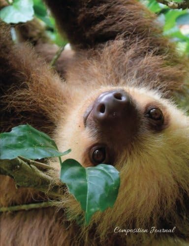 Composition Journal - Cute Sloth: 100 College Ruled Pages - Student Notebook Paperback – July 27, 2017