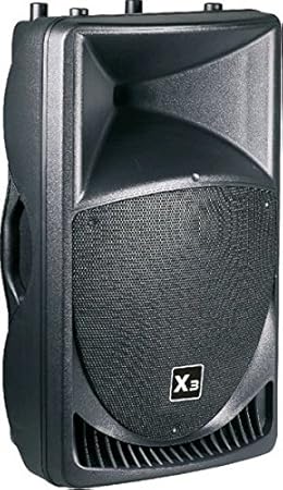 p audio speaker 15 inch 500 watt price