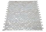 Genuine Natural Mother of Pearl Oyster Mini Brick Shell Mosaic Tile for Kitchen Backsplashes, Bathroom Walls, Spas, Pools By Vogue Tile
