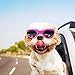 Cool Pet Dog Motorcycles Bike Helmet/Sunglasses for Sun Rain Protection,Funny Halloween Cosplay Costume for Cats Dogs (Pink Sunglasses)