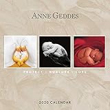 Anne Geddes: Protect Nurture Love 2020 Wall Calendar by