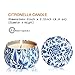 YYCH Citronella Candles Outdoor and Indoor, 4.8oz Scented Candles Pure Soy Wax Portable Travel Tin Candle for Stress Relief, 4-Pack Gift Setthumb 1