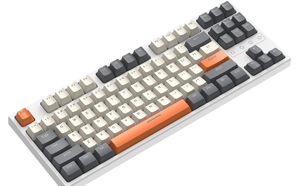 White/Grey Red Switch