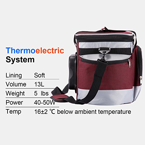 2 Lightweight+Portable+Thermoelectric+Refrigerator+Convenient