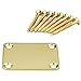 Guitar Neck Plate Gold Color with 8 Golden Screws