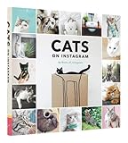 Cats on Instagram by @cats_of_instagram