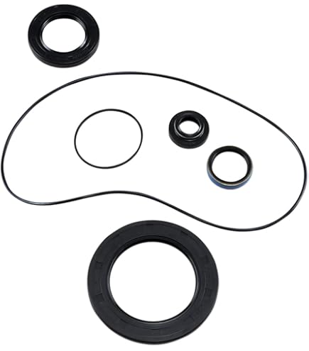 Amazon.com: James Gasket Transmission Sprocket Oil Seal Kit