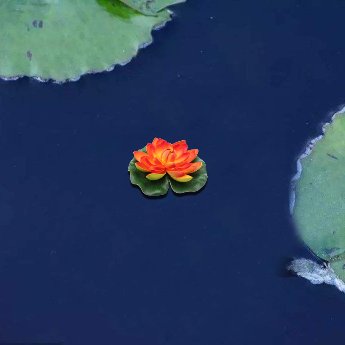 View 7