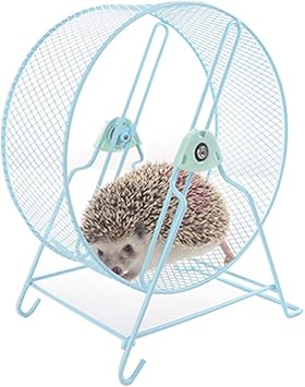 Amazon サイレントホイール 小動物用玩具 丈夫で安全 ゴールデンハムスター ハムスターボール 運動不足解消 となりのトトロハリネズミが足リスの輪を握っていない 25cm 青い Sthcteyh おもちゃ 通販