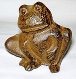 Frogs are Endangered