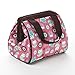 Fit + Fresh Riley Insulated Lunch Bag, Durable Lunch Bag for Kids with Leak Proof Lining, Rainbow Owl
