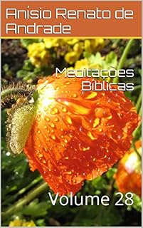 Livro Meditações Bíblicas: Volume 28