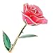 ZJchao 24K Rose Gifts for Her, Love Dipped Gold Real Rose Flower Preserved Eternal Present for Christmas/Wedding/Valentines/Birthday/Mother's Day ()