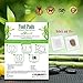 TJ's Health Organic Sleep Foot pads | 30 rose & lavender feet patches to aid natural sleep | Clarity within