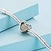 Pandora Sterling Silver Joined Together Charm 791806CZ