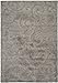 SAFAVIEH Florida Shag Collection Accent Rug - 4' x 6', Grey, Scroll Design, Non-Shedding & Easy Care, 1.2-inch Thick Ideal for High Traffic Areas in Entryway, Living Room, Bedroom (SG455-8013)