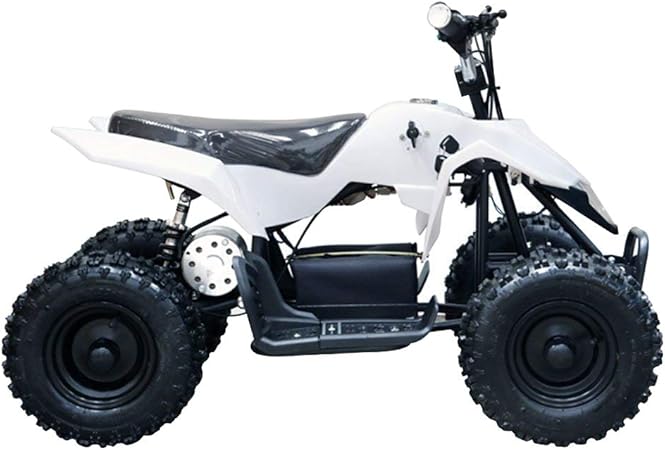 TDPRO 24V 500W Electric Kids ATV 