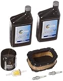 Stens 785-616 Engine Maintenance Kit For Kohler 32 789 01-S