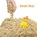 Motion Sand Fun Beach Molds Set Play Sand Includes 2 lbs Natural Indoor Play Sand, 1 Tray and 5 Molds for Kids,100% Non-Toxic Sand Molding Kit
