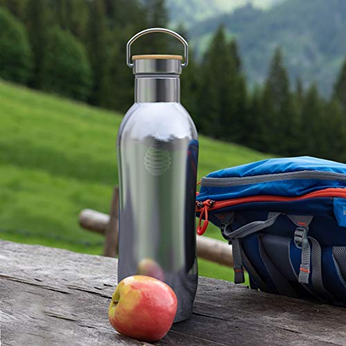 pH Active Insulated Water Bottle - Stainless Steel Water Bottle - Includes Alkaline Water Filter, Plus Bonus Sports Gym Lid - Double Walled Metal - 2019 (950)