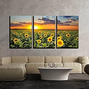 3 Piece Canvas Wall Art - Field of Blooming Sunflowers on a Background Sunset - Modern Home Art Stretched and Framed Ready to Hang - 16"x24"x3 Panels