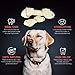 hotspot pets 10 Pack - 6-7 Inch Certified Facility Rawhide Dog Chews - from Grass Fed Brazilian Cows - Promotes Tooth Health and Good Behavior (10 Pack)